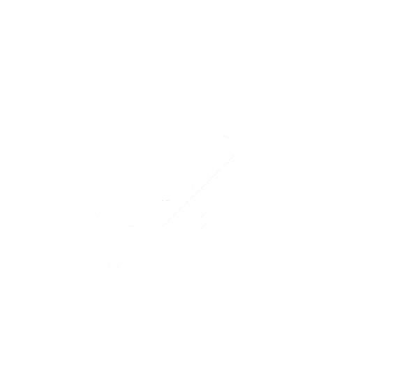 Technical Assistance and Protocol Services