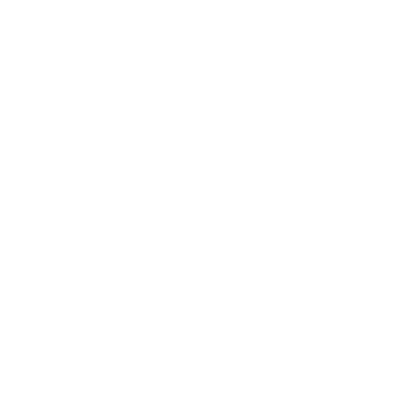 Technical Assistance and Protocol Services